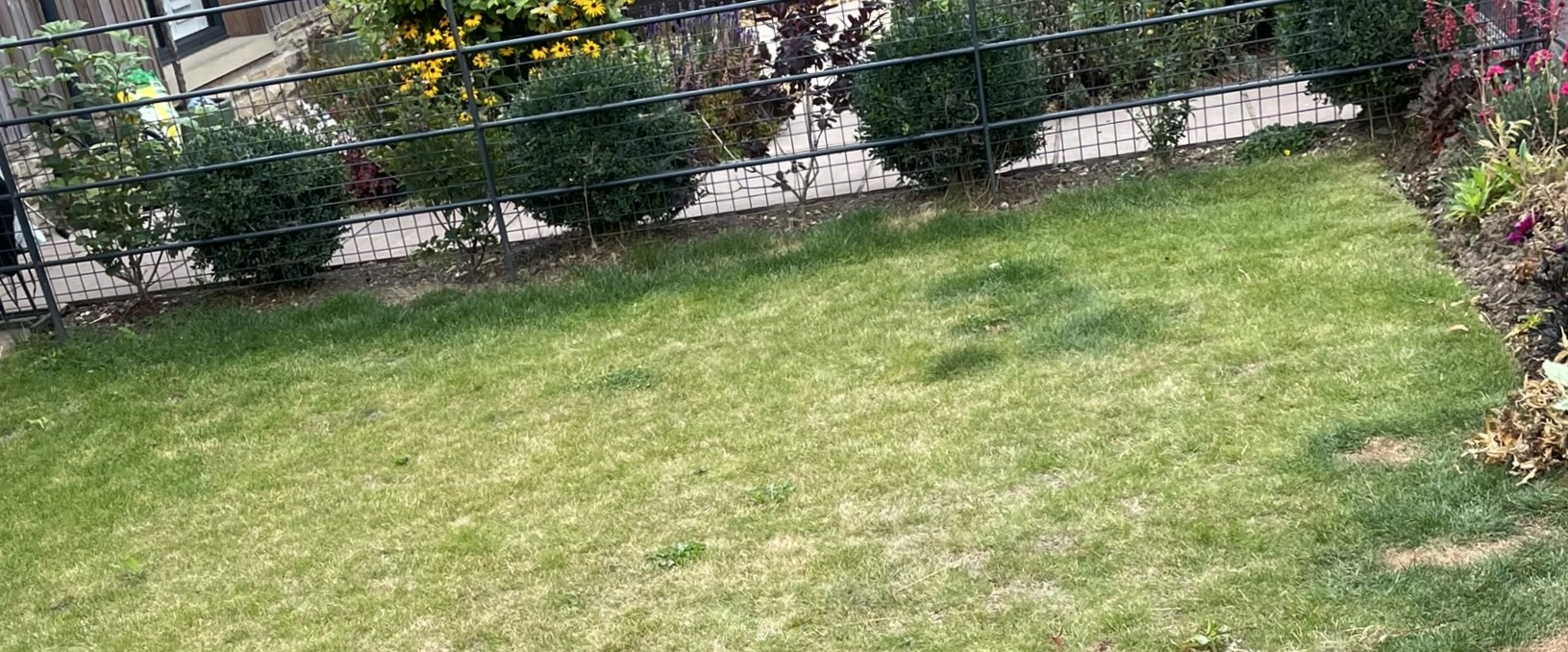 Metal fencing between neighbouring gardens reduces privacy and little shelter from harsh winds