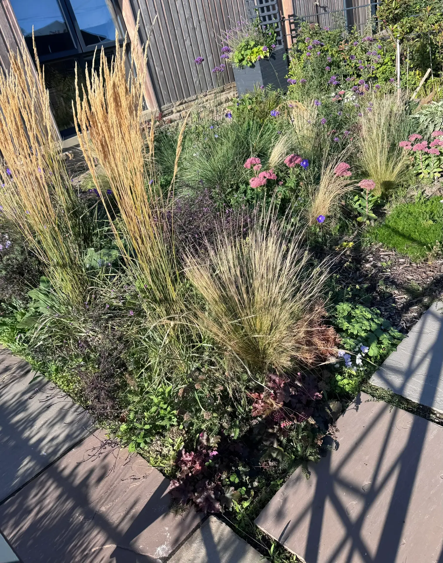 Mixed border of grasses and perennials in front of a timber-clad barn
