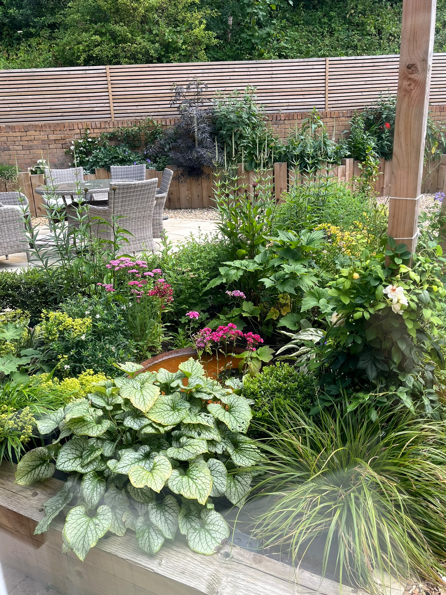 Layered planting of silver Brunnera, lady's mantle, dark elder in the raised bed and pink yarrow beside a Corten pool