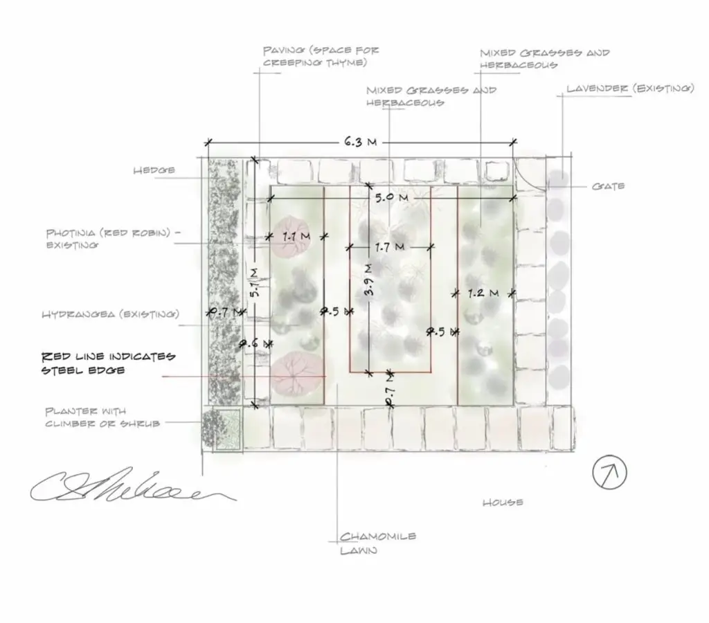 A concept drawing of proposed new layout with measurements and plant shapes